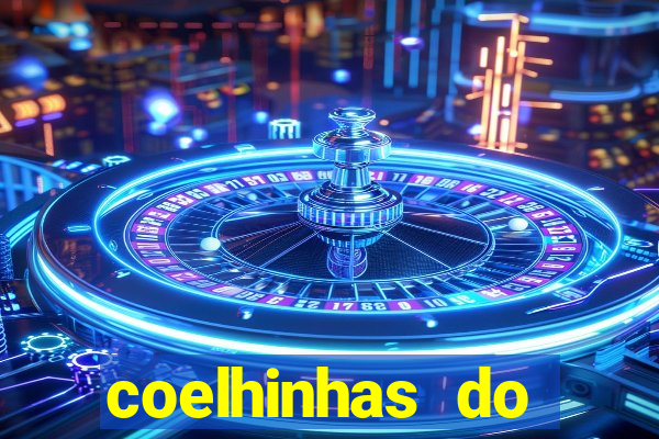 coelhinhas do brasil recife